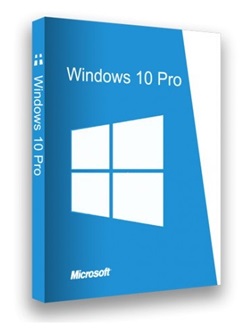 Windows 10 Pro x64 22H2 En-Us 19045.2075 October 2022 Team-LiL torrent